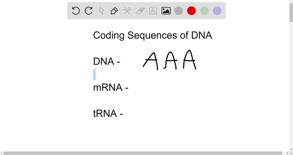 solved-a-particular-triplet-of-bases-in-the-coding-sequence-of-dna-is-aaa-the-anticodon-on-the