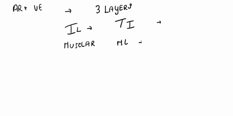 ectives-one-general-characteristics-of-blood-vessels-1-describe-the-three-tunics-that-form-the-wall-of-an-_-artery-or-vein-2-define-vasa-vasorum-3-compare-and-contrast-the-structure-and-func-64813