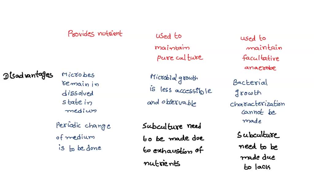 SOLVED what are the advantages and disadvantages of using a broth