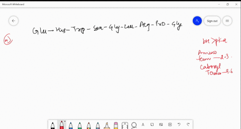 net-electric-charge-of-peptides-a-peptide-has-the-sequence-glu-his-trp-ser-gly-leu-arg-pro-gly-a-wha-41502