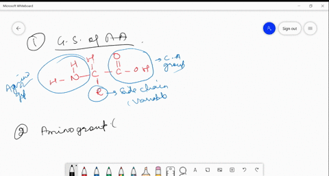 1-draw-the-general-structure-of-an-amino-acid-2-an-amino-acid-always-contains-what-two-functional-groups-draw-the-structure-each-of-those-two-groups-3-draw-the-structure-of-the-amino-acid-gl-67254