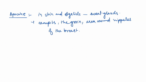 classify-the-exocrine-glands-based-on-thelr-mode-of-secretion-apocrine-gland-holocrine-gland-merocrine-gland-13334