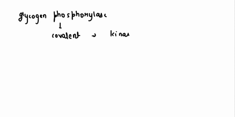 glycogen-phosphorylase-is-a-well-studied-enzyme-that-undergoes-reversible-covalent-modification-explain-how-this-mechanism-operates-you-should-include-information-on-the-different-cnzyme-for-02535