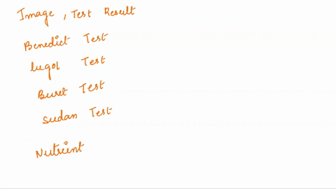question-18-1-point-the-test-results-below-indicate-the-presence-of-which-nutrient-proteln-test-uplds-est-1-j-cetechydrale-test-teet-tost-a-test-monosaccharide-protein-polysacchharide-lipid-31342