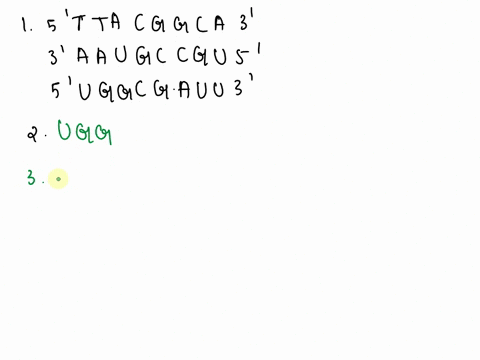 complete-the-chart-below-dna-mrna-5-3-t-t-a-c-g-g-c-a-t-3-5-re-state-the-mrna-strand-write-it-in-the-5-to-3-direction-answer-the-following-questions-mrna-strand-5-__________________________-18212