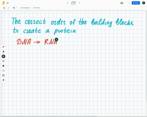 select-the-correct-order-of-the-building-blocks-to-create-a-protein-dna-rna-amino-acids-protein-rna-dna-amino-acids-protein-rna-amino-acids-dna-protein-amino-acids-dna-rna-protein