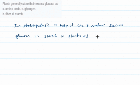 plants-generally-store-their-excess-glucose-as-a-amino-acids-c-glycogen-b-fiber-d-starch-29929