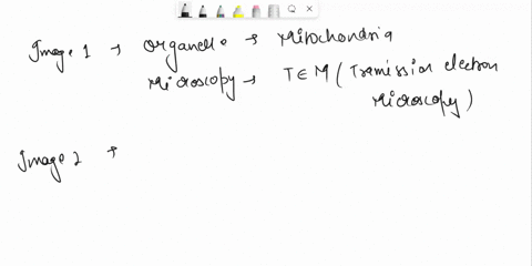 class-activity-5a-conformations-of-alkanes-part-a-acyclic-compounds-model-2-conformations-of-ethane-hi-h-atc-0-_-35-ha-hz-mhs-hz-staggered-h2-ha-wedgeldash-sawhorse-nowman-ha-hg-hi-oclipsed-01098