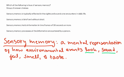 which-of-the-following-is-true-of-sensory-memory-group-of-answer-choices-sensory-memory-is-typically-reflected-in-the-sights-and-sounds-one-encounters-in-daily-life-sensory-memory-is-brief-and-without