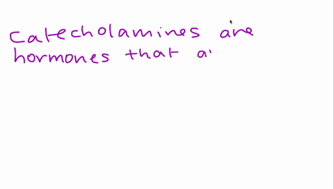 name-the-three-catecholamine-neurotransmitters-47223