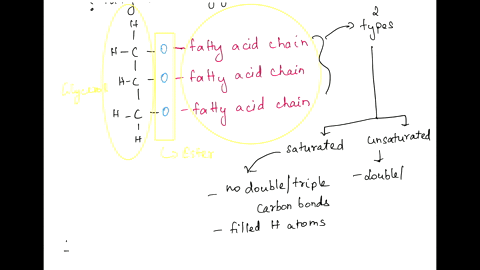 choose-the-correct-answer-and-explain-why-the-fatty-acids-of-triglycerides-are-classified-as-saturated-unsaturated-or-trans-fats-what-is-about-the-structure-of-these-compounds-that-gives-the-63602