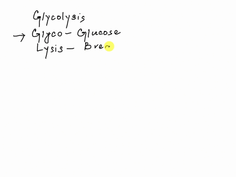 question-16-what-happens-in-glycolysis-glucose-is-broken-down-into-co2-glucose-is-reduced-and-split-into-two-pyruvate-molecules-glucose-gains-electrons-and-is-fed-into-the-mitochondria-gluco-45195