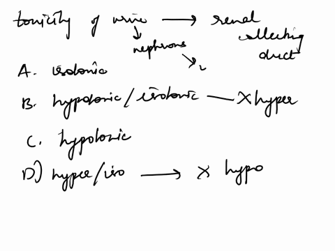 the-tonicity-of-the-urine-as-it-enters-the-renal-collecting-duct-is-a-isotonic-b-hypotonic-or-isotonic-but-never-hypertonic-c-hypotonic-d-hypertonic-e-hypertonic-or-isotonic-but-never-hypoto-74264