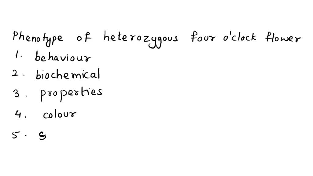 SOLVED What is te phenotype of a heterozygous four o' clock flower