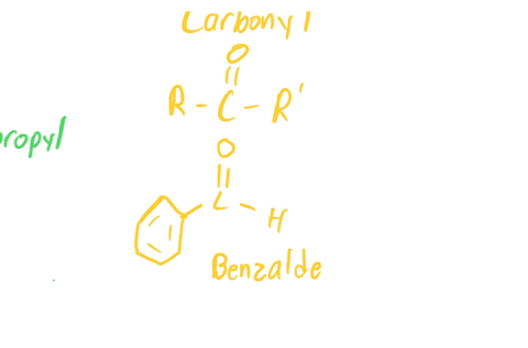 draw-one-example-molecule-for-each-of-the-7-functional-groups-circle-or-highlight-the-functional-group-within-that-molecule-32099