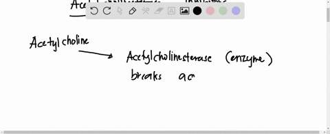 18-acetylcholine-is-released-from-many-neurons-in-the-nervous-system-acetylcholinesterase-inhibitors-cause-activation-on-the-postsynaptic-membranes-of-these-neurons-by-________________-a-inc-01088