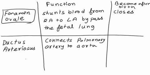 short-answers-please-structure-foramen-ovale-functio-becomesafterbirth-ductus-arteriosus-aorta-explain-the-color-ductus-venosus-inferior-vena-cava-hepatic-portal-vein-355-16969