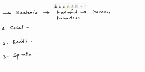 most-nol-provide-one-example-of-hurmful-species-and-some-bacteria-are-harmful-to-humans-but-one-cxample-0f-harmless-species-for-each-of-the-three-common-bacterial-cell-shapes-28196