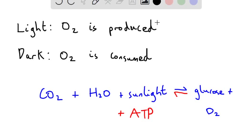 SOLVED: Explain why the change in oxygen was negative when Elodea was