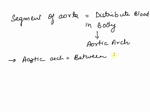 which-of-the-following-statements-concerning-the-branches-of-the-aortic-arch-is-true-othe-branches-of-the-aortic-arch-are-located-in-the-region-of-t5-t12-o-the-most-common-variation-of-the-b-20977