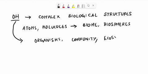 which-shows-the-levels-or-organizational-hierarchy-listed-from-least-complex-to-most-complex-26937