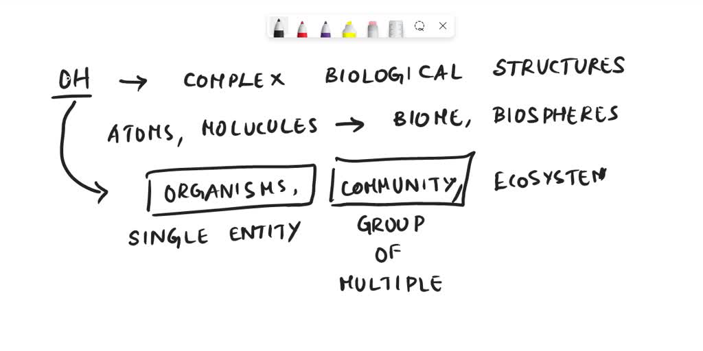 SOLVED Which shows the levels or organizational hierarchy listed from