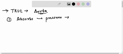 select-all-of-the-following-which-are-true-of-the-aorta-group-of-answer-choices-absorbsdamps-pressure-of-blood-leaving-the-left-ventricle-an-elastic-artery-proportionally-contains-the-thicke-68384