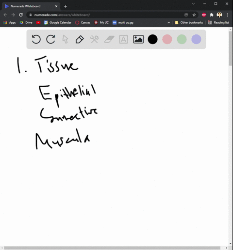in-your-own-words-complete-the-following-describe-five-general-characteristic-of-epithelial-tissue-on-what-basis-are-epithelial-tissues-classified-list-five-major-functions-of-epithelium-in-80332