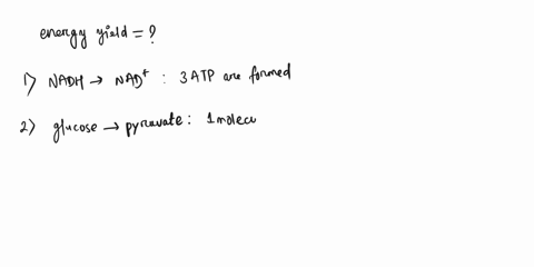 what-is-the-energy-yield-in-atp-molecules-associated-with-each-of-the-following-a-nadh-nad-b-glucose-2-pyruvate-c-2-pyruvate-2-acetyl-coa-2co2-34584