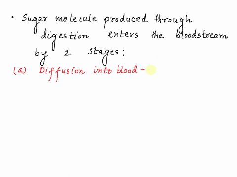 explain-how-a-molecule-of-sugar-from-a-piece-of-bread-that-you-eat-enters-the-bloodstream-24687