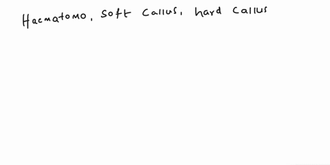 which-choice-represents-the-correct-order-of-events-in-bone-healing-soft-callous-hematoma-hard-callous-hematoma-soft-callous-hard-callous-bone-formation-hard-callous-hematoma-hard-callous-so-85362