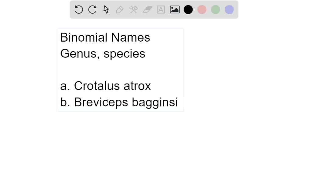 SOLVED: Animal kingdom representative Scientific name , Scientific description of the organism SOLVED: Animal kingdom representative Scientific name , Scientific description of the organism