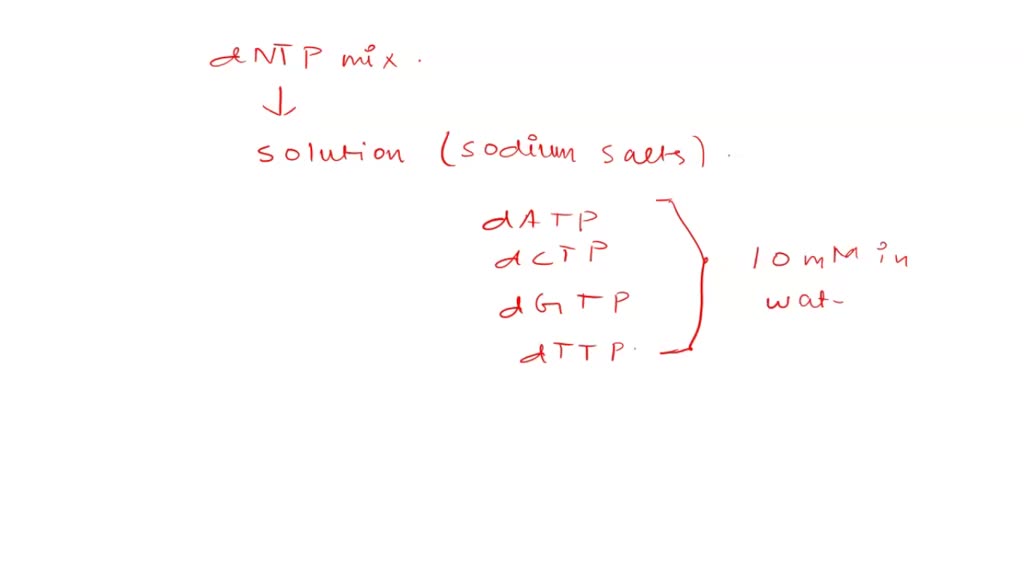 SOLVED Deoxyribose nucleoside triphosphate (dNTP) mix is an essential