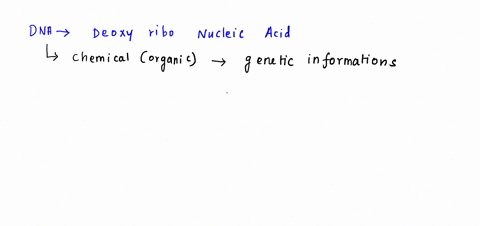 which-bases-are-found-in-a-strand-of-dna-thymine-guanine-cytosine-uracil-guanine-cytosine-uracil-adenine-cytosine-glycine-adenine-thymine-adenine-thymine-guanine-cytosine-68912