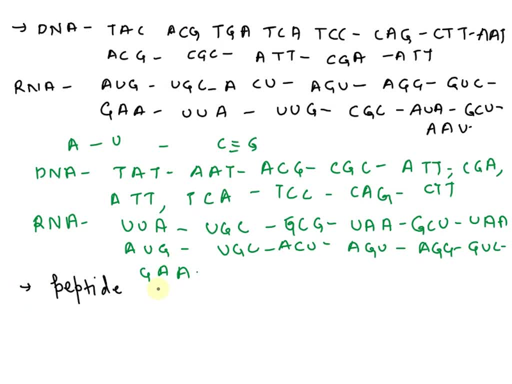 Solved: The First Step In Making A New Polypeptide Chain Is To 