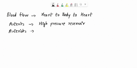 direction-of-blood-flow-the-schematic-below-shows-the-vessels-which-carry-blood-away-from-the-heart-and-then-return-it-to-the-heart-in-the-following-order-arterles-arterloles-caplllaries-ven-72612