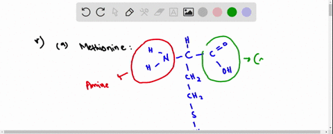 identify-the-functional-groups-in-each-of-the-following-molecules-in-skeletal-representations-each-i-59903