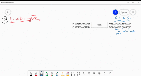 transcription-start-the-following-diagram-shows-both-strands-of-segment-of-dna-surrounding-gene-5-catgtt_ttgatgt-3-gtacaa_aactaca-attg-attata_tgtcaa-3-taac-taatat-acagtt-5-using-examples-and-00942