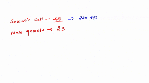 which-of-the-following-statements-is-true-about-gametes-and-somatic-cells-a-gametes-are-diploid-and-somatic-cells-are-haploid-b-gametes-are-produced-by-mitosis-c-an-individual-produces-gamet-03906