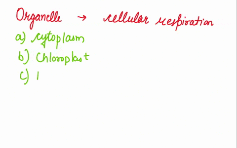 what-organelle-is-used-during-the-process-of-cellular-respiration-a-cytoplasm-b-mitochondria-chloroplast-d-ribosomes-e-cell-membrane-61737