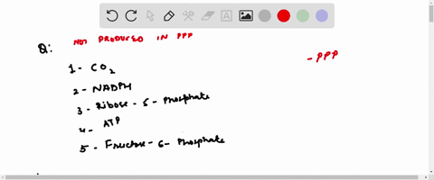 which-of-the-following-molecules-is-not-produced-in-pentose-phosphate-pathway-a-co2-b-nadph-c-ribose-5-phosphate-d-atp-e-fructose-6-phopshate-which-of-the-following-steps-does-not-require-at-53594