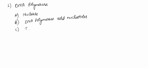 1-which-of-the-following-is-the-function-of-dna-polymerase-a-cut-dna-at-specific-sequences-b-add-nucleotides-during-the-pcrdna-replication-c-increase-the-amount-of-dna-in-pcr-d-both-b-and-c-28483