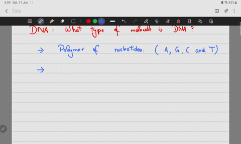 what-type-of-molecule-is-dna-63358