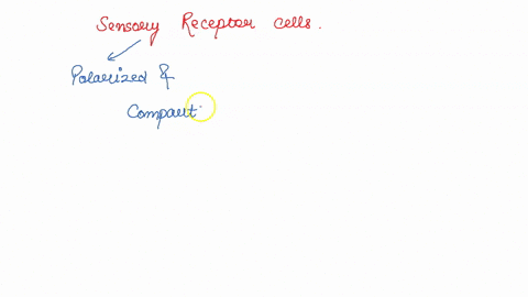 which-of-the-following-is-a-common-feature-of-sensory-receptor-cells-all-sensory-receptor-cells-have-axons-b-all-sensory-receptor-cells-are-polarized-and-compartmentalized-ali-sensory-recept-50387