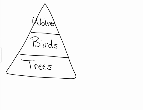 trophic-webs-can-be-very-complex-and-interconnected-from-figure-18-3-determine-the-possible-population-response-of-the-following-organisms-overpopulation-of-skuas-provide-reasoning-for-your-80014
