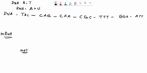 what-amino-acid-sequence-will-the-following-strand-of-dna-code-for-tac-cag-caa-cgc-ttt-gga-att-methionine-________-________-________-________-________-73417