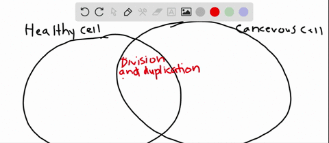 compare-and-contrast-the-cell-cycle-of-a-healthy-cell-to-that-of-a-cancer-cell-explain-what-would-lead-to-a-cell-becoming-cancerous-2
