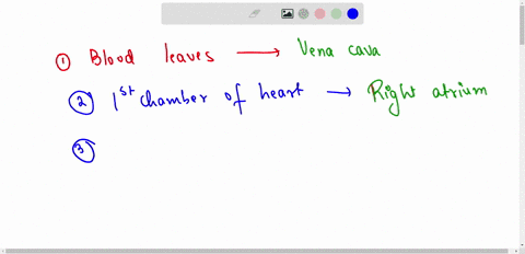 fill-in-the-blanks-using-the-drop-down-box-to-correctly-describe-the-flow-of-blood-through-the-heart-blood-leaves-systemic-circulation-and-is-transport-to-the-heart-via-the-choose-aorta-righ-32986
