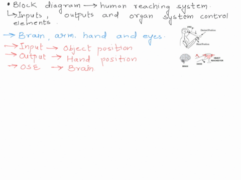 draw-block-diagram-for-the-human-reaching-system-shown-below-clearly-dentify-and-iabel-all-inputs-outputs-and-organ-system-control-elements-that-describe-the-operation-of-a-human-being-reach-99124