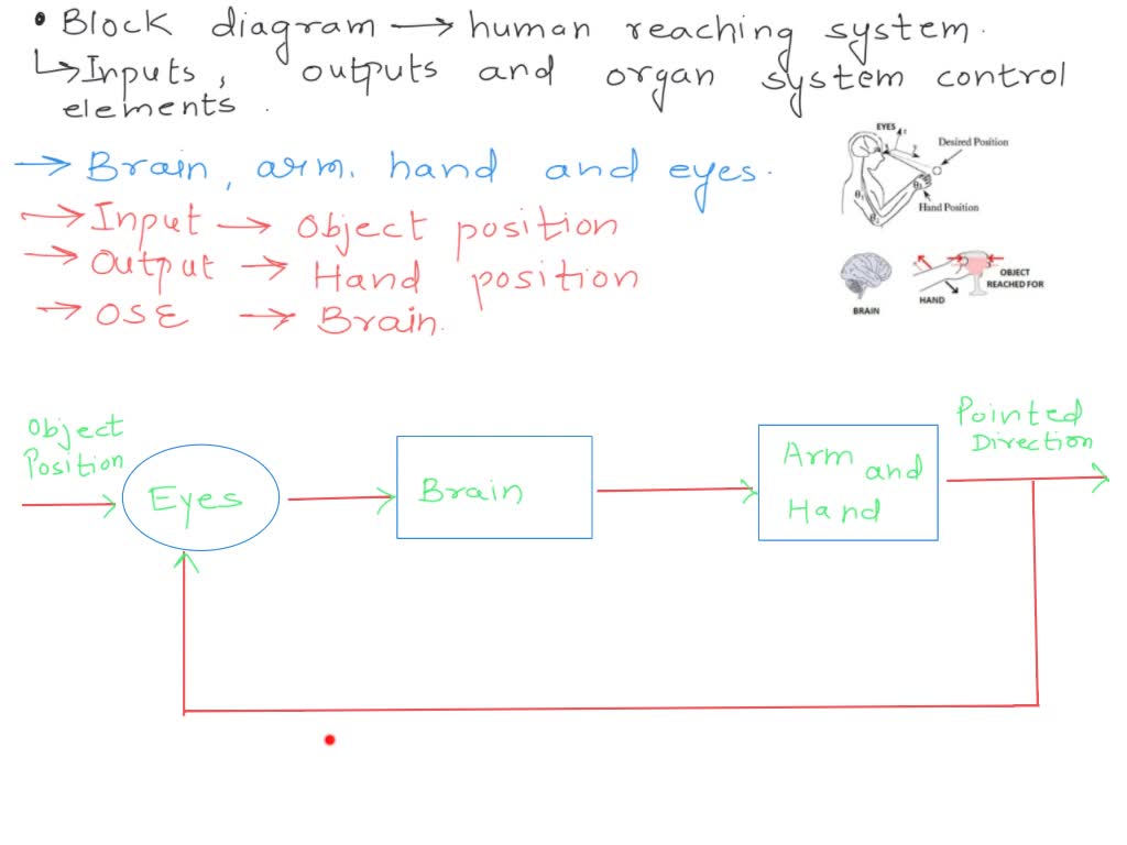Solved The block diagram of a system is given below. Draw | Chegg.com